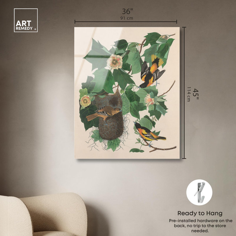 «Three Orioles», reproduction d'art acrylique par Art Remedy, 45" H x 36" W
