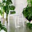 Modern Clear Plastic Dining Chair - Stackable Side Chair for Kitchen, Dining Room, Office and Indoor & Outdoor Use