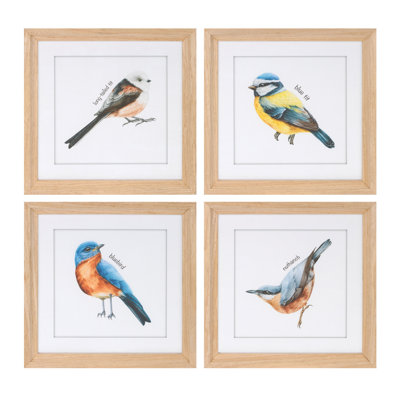 Reproduction d'oiseau encadrée sous verre