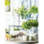 Topiaire buis double ball en pot