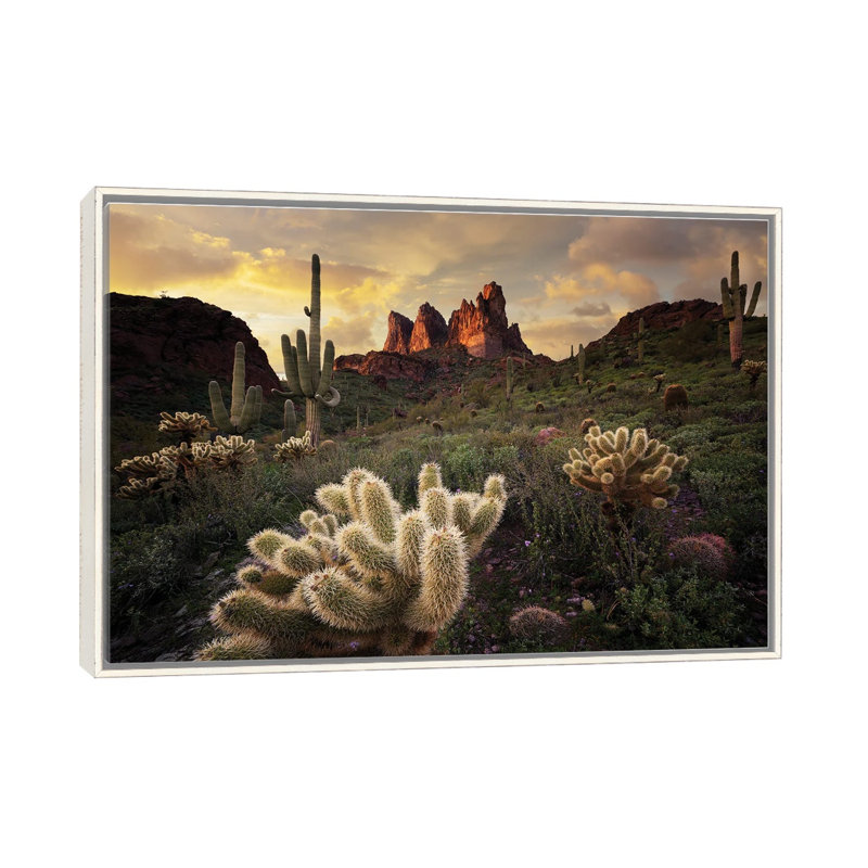 Arizona Desert Sunset, Distressed White Floater Framed Canvas, 18" H x 26" W x 1.5" D