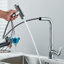 Belfry Kitchen Aletha Kitchen Faucet