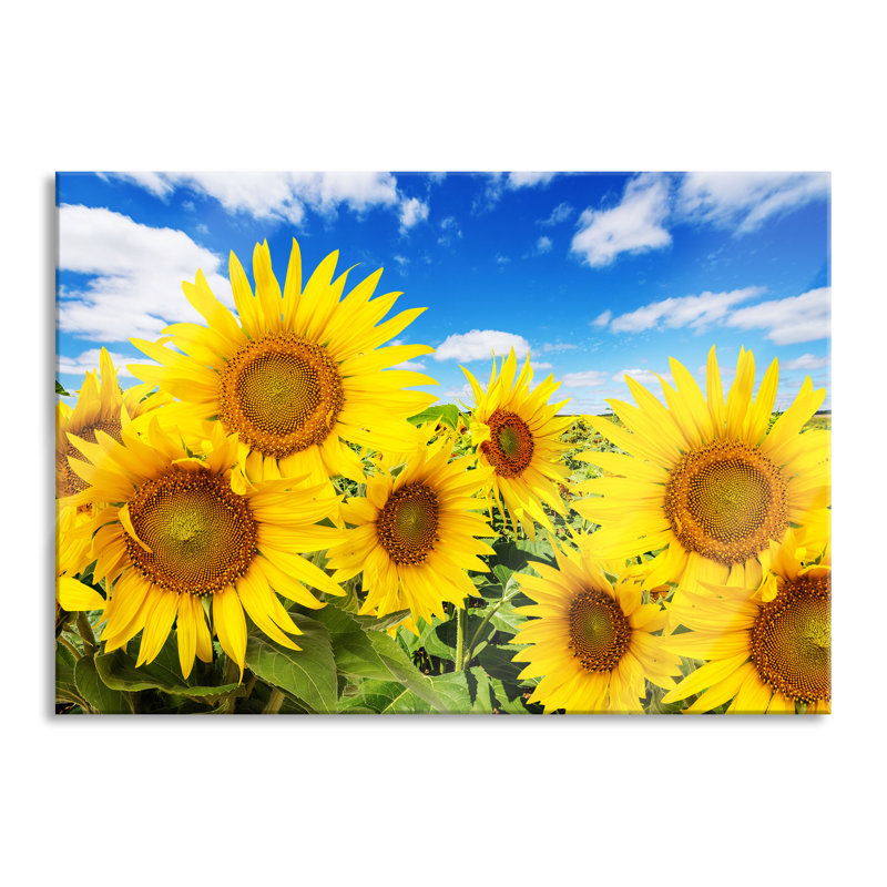 Sunflower Meadow Under The Sky - No Frame Print on Glass, 70cm H x 100cm W x 0.4cm D