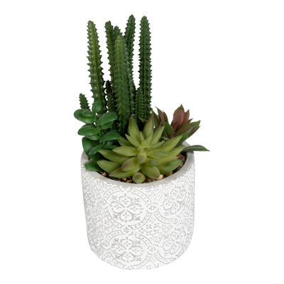 20cm Faux Succulent Plant in Clay Pot