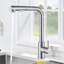 Belfry Kitchen Simlai Pull Out Kitchen Faucet