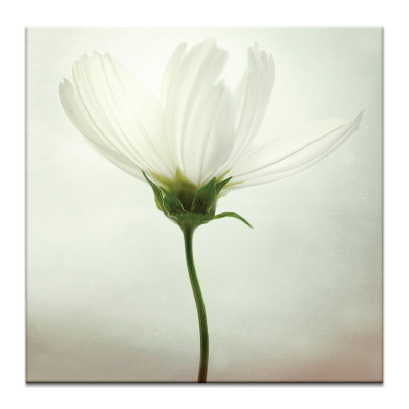 Print on Canvas, Wrapped Canvas, 76cm H x 76cm W