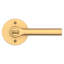 Lifetime (PVD) Satin Brass Entry Door Lever