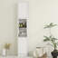 Freestanding Bathroom Cabinet