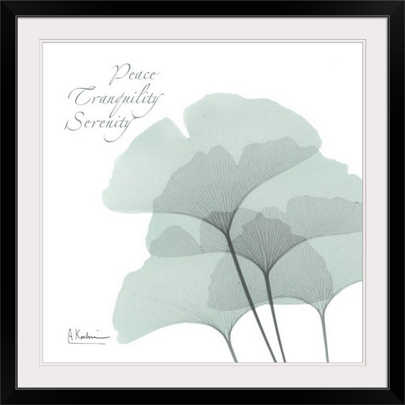 Reproduction de photo Manigault «Gingko Peace X-Ray» par Kiranjit, H 20" x l 20" x P 1", Cadre noir