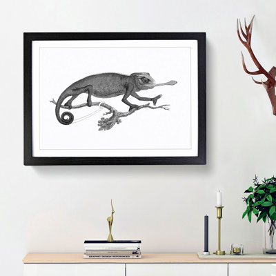 Chameleon in Black & White by George Shaw - Picture Frame Painting Print