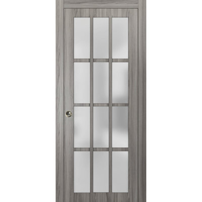 Felicia Frosted Glass Sliding Closet Door