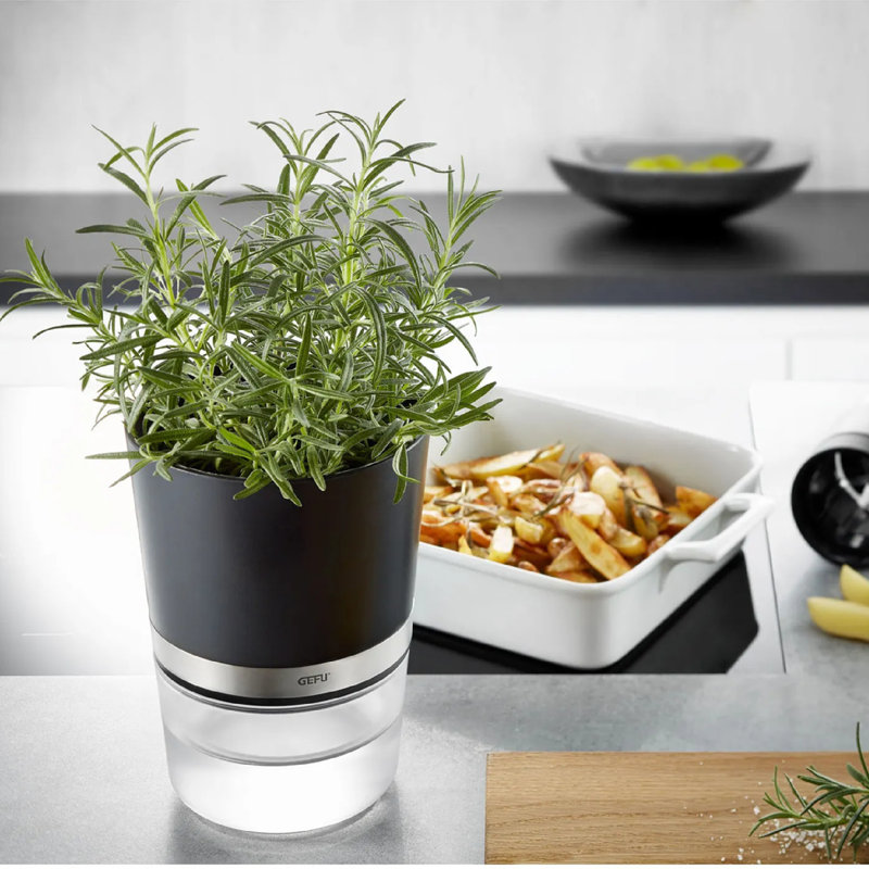 Gefu Growing Kit