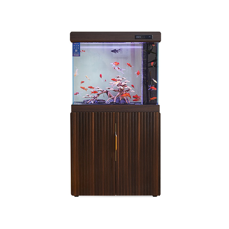 Aquarium 75-83 gallons, 66 gallons (H 61,02 po x l 31,5 po x P 16,54 po)