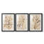 Parchment Coral I - ensemble de 3 cadres photo-1964973415-1964973412