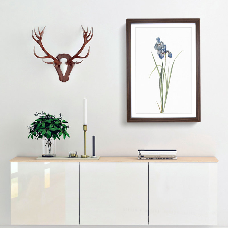 Iris Pratensis by Pierre-Joseph Redoute - Single Picture Frame Painting, 48cm H x 36cm W x 2cm D, Walnut Framed