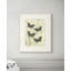 Mariposas 4 Print-1058580162
