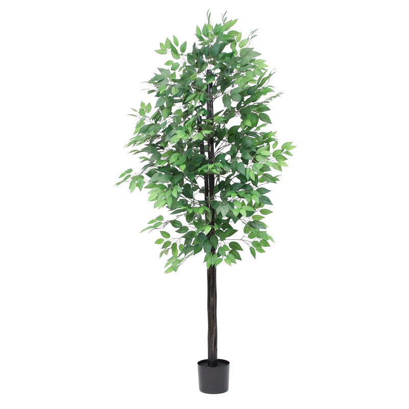 Faux Ficus Tree in Pot Liner, Forest Green, 76" H x 34" W x 34" D