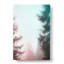Through The Trees - Wrapped Canvas-55361336