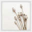Striped Flower - Single Picture Frame Painting-1222066861