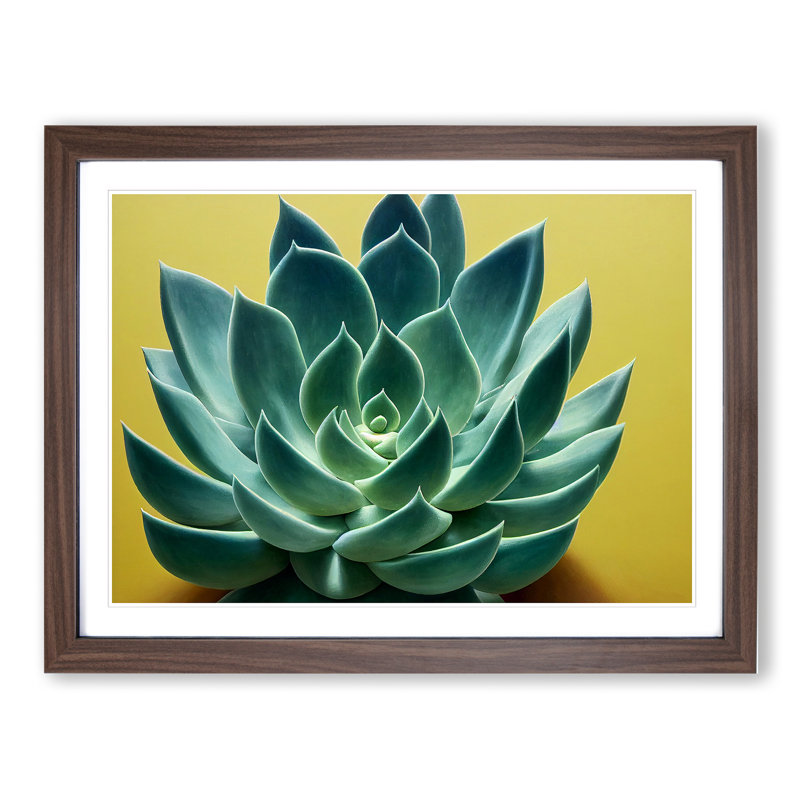 Splendorous Succulent Plant - Framed Print, 46cm H x 64cm W x 2cm D, Walnut