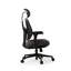 Chaise de bureau Danh-89507706