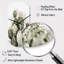 Yoo - Cylinder Shape Large Green Wall Clock Sculpture-1579142619