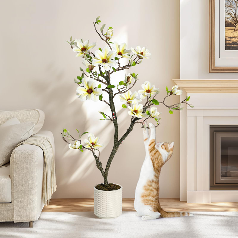 120cm Plant