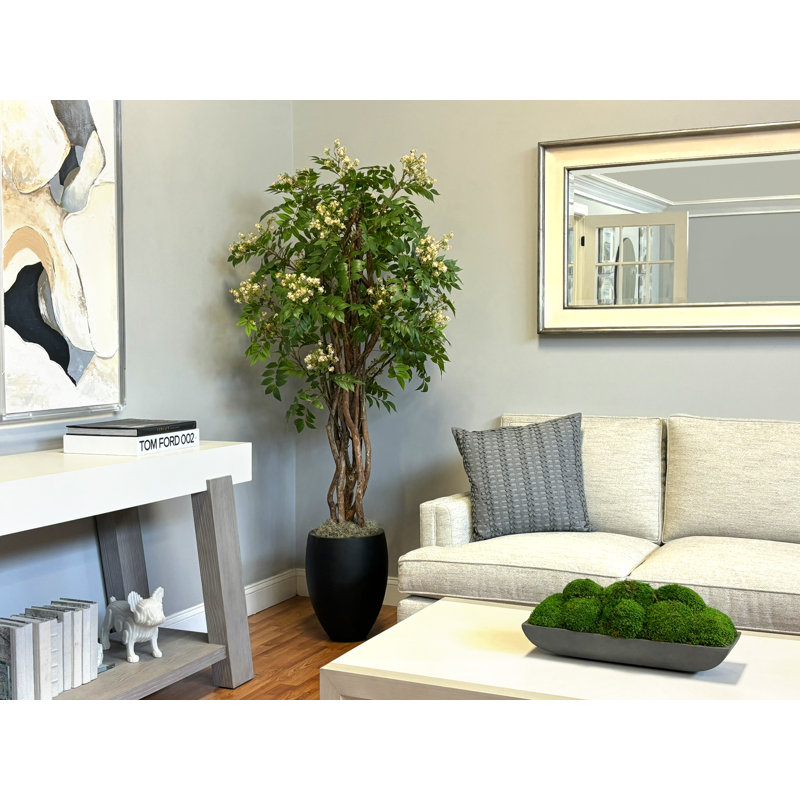 Bloom Lacquer Tree in Fiberstone Pot