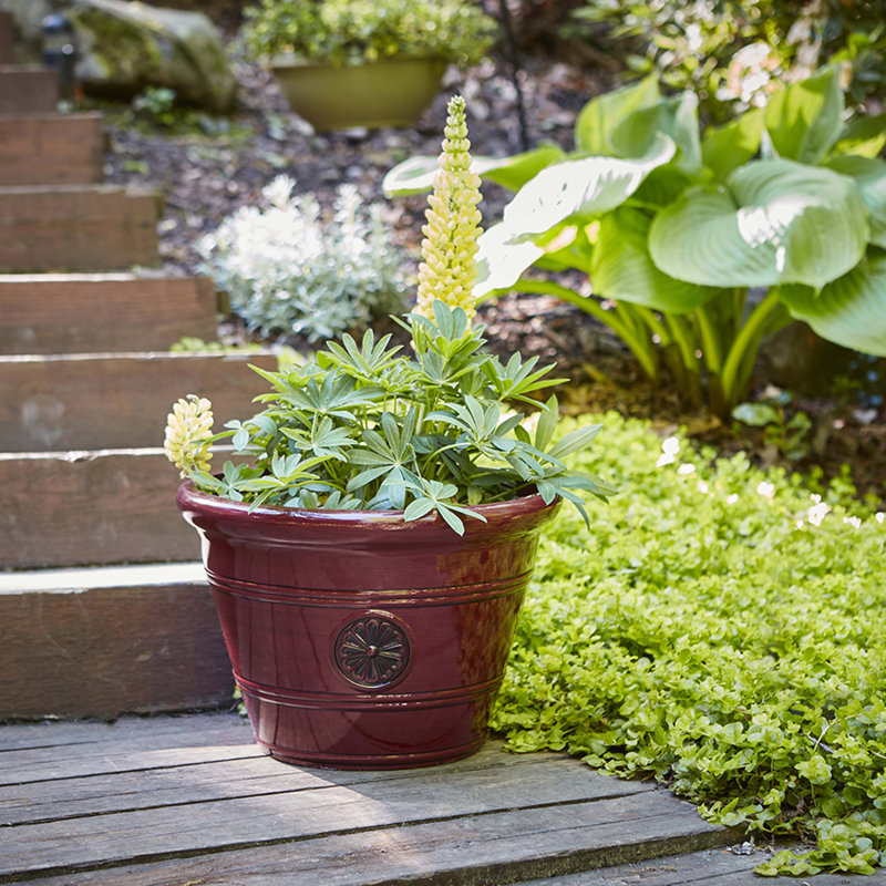 12" Modesto Planter