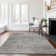 Premium Machine Washable Alliah AMF94 Ash Rug