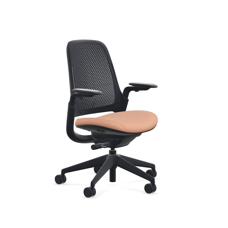 Steelcase Series 1 Air, Persimmon, Black, Carpet