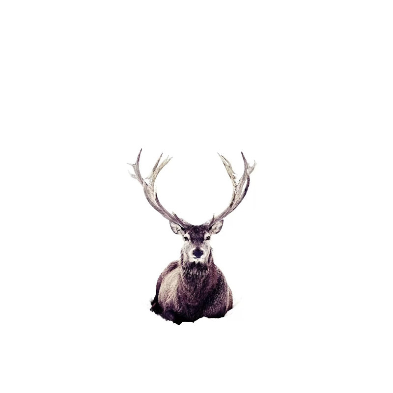 Stag In Snow III by Monika Strigel - Wrapped Canvas Print, 101.6 cm H x 66.04 cm W x 1.91 cm D