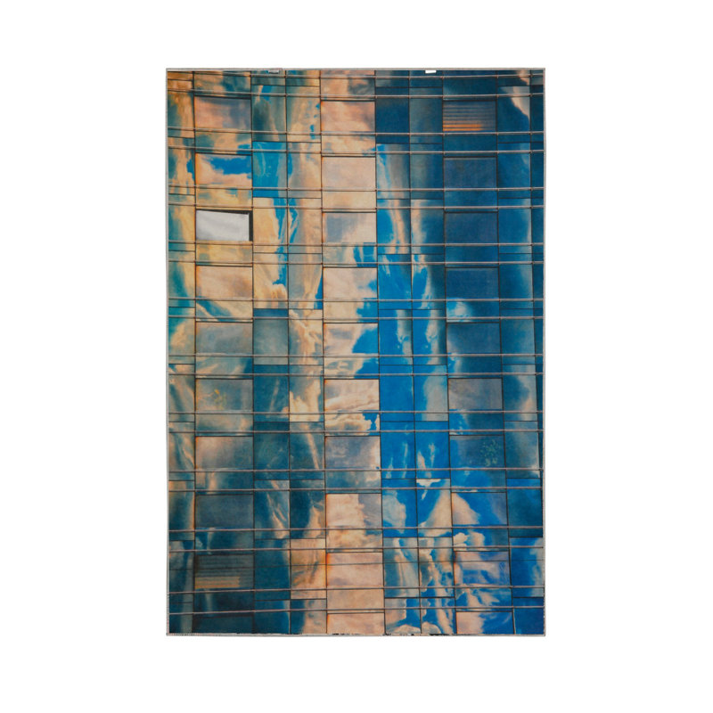 Tapis tissé de qualité supérieure, 2,6 x 4,0 pieds | 100% polyester, antibactérien, antidérapant | Impression numérique 3D, lavable à la machine, hauteur des poils: 0,04 po | Idéal pour le salon, la chambre à coucher et la décoration intérieure