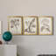 Antique sépia botanicals I - Ensemble de 3 peintures sur toile encadrées-1506276648-1506276651