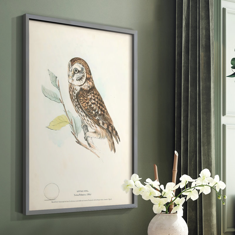 «Little Owl», reproduction encadrée - bois massif, Gris, H 10 po x l 8 po