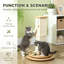 Cat Scratchers-1000308154-1000308155