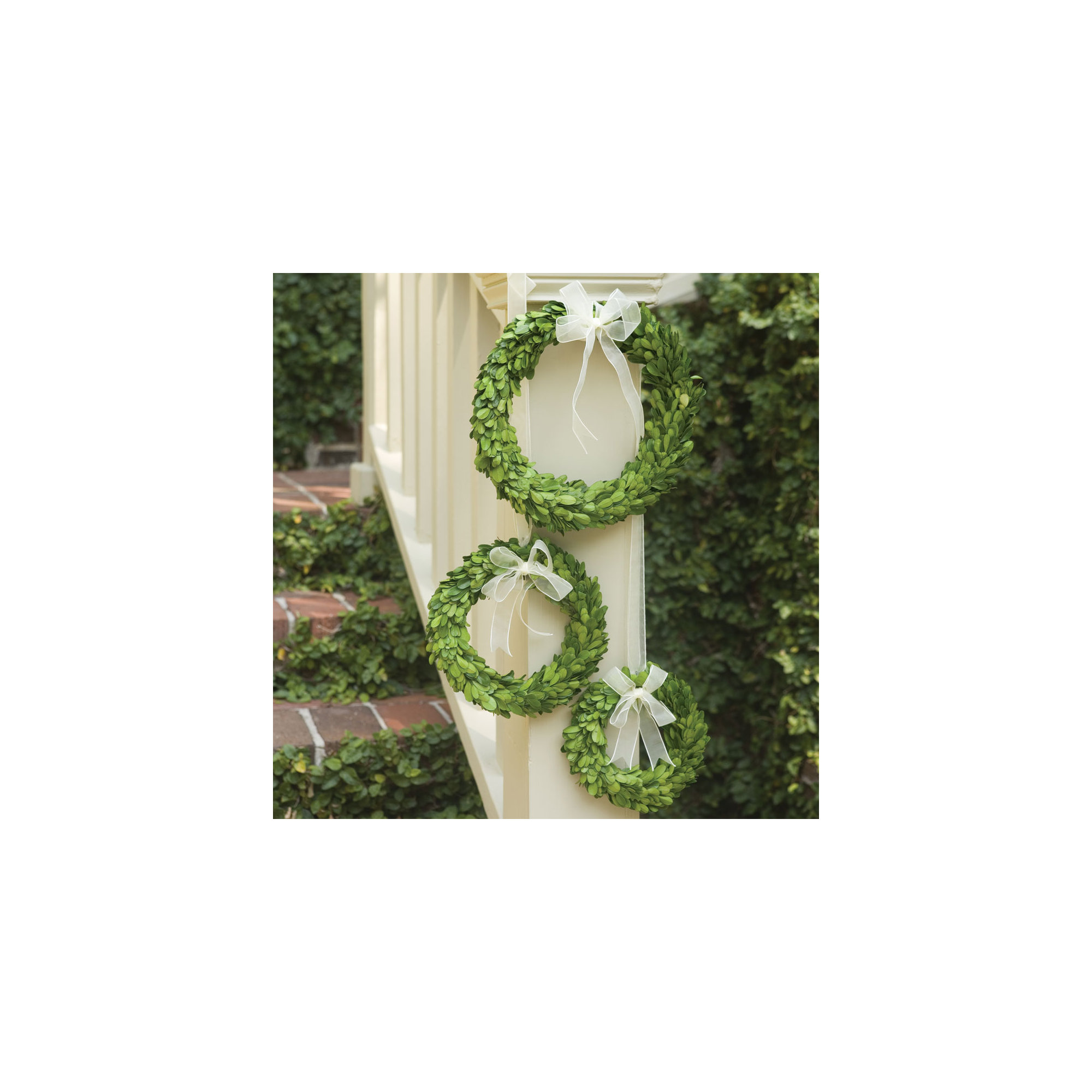 10'' Easter Preserved Boxwood Wreath, White