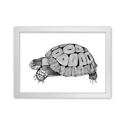 Tortoise by Carissa Tanton - Print