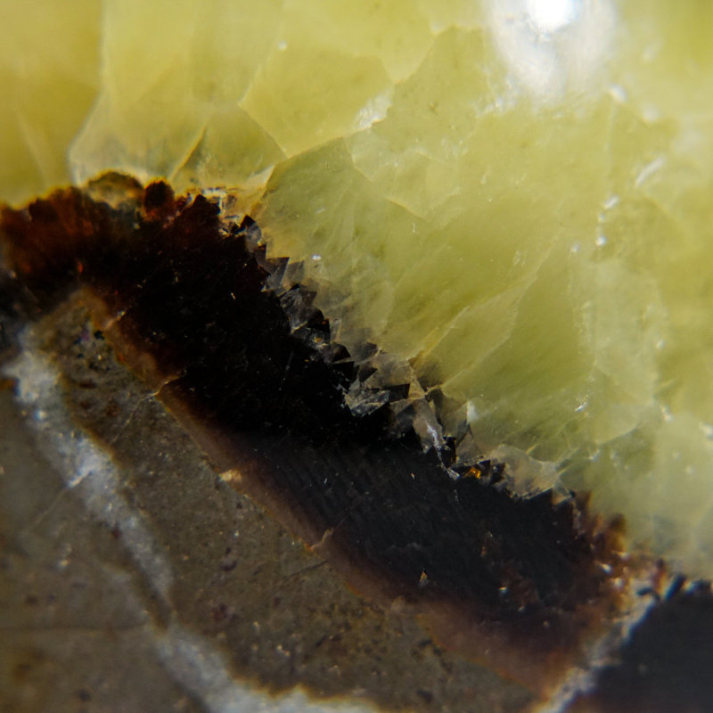 Genuine Polished Septarian Palm Stone