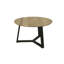 Angalee Coffee Table-1431178994