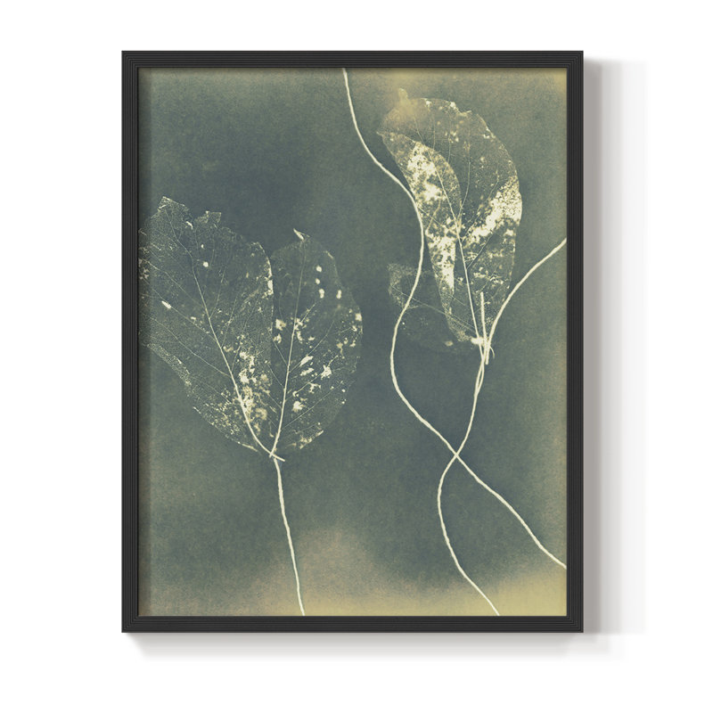 Ghost Leaves, reproduction encadrée - bois massif, H 28 po x l 22 po, Noir