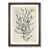 Walnut Framed selected