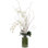 Orchid Phalaenopsis,White,Moss Gardn,Glass Cylindr