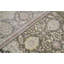 Dharma Oriental Area Rug in Camel/Brown