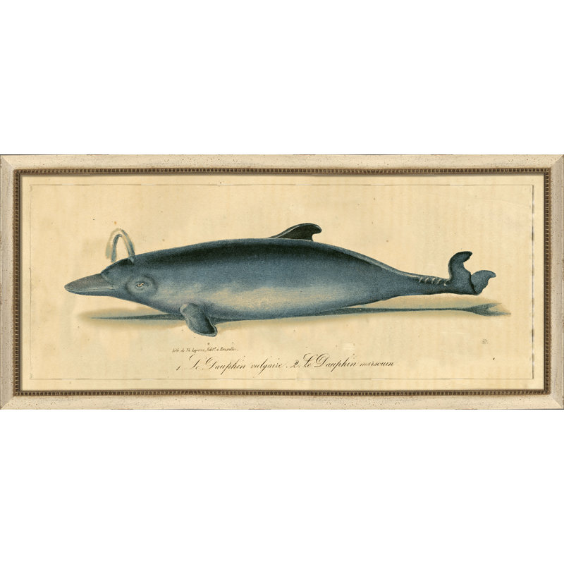 Vintage Dolphin I Painting