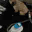 Photos des clients 1 de 1