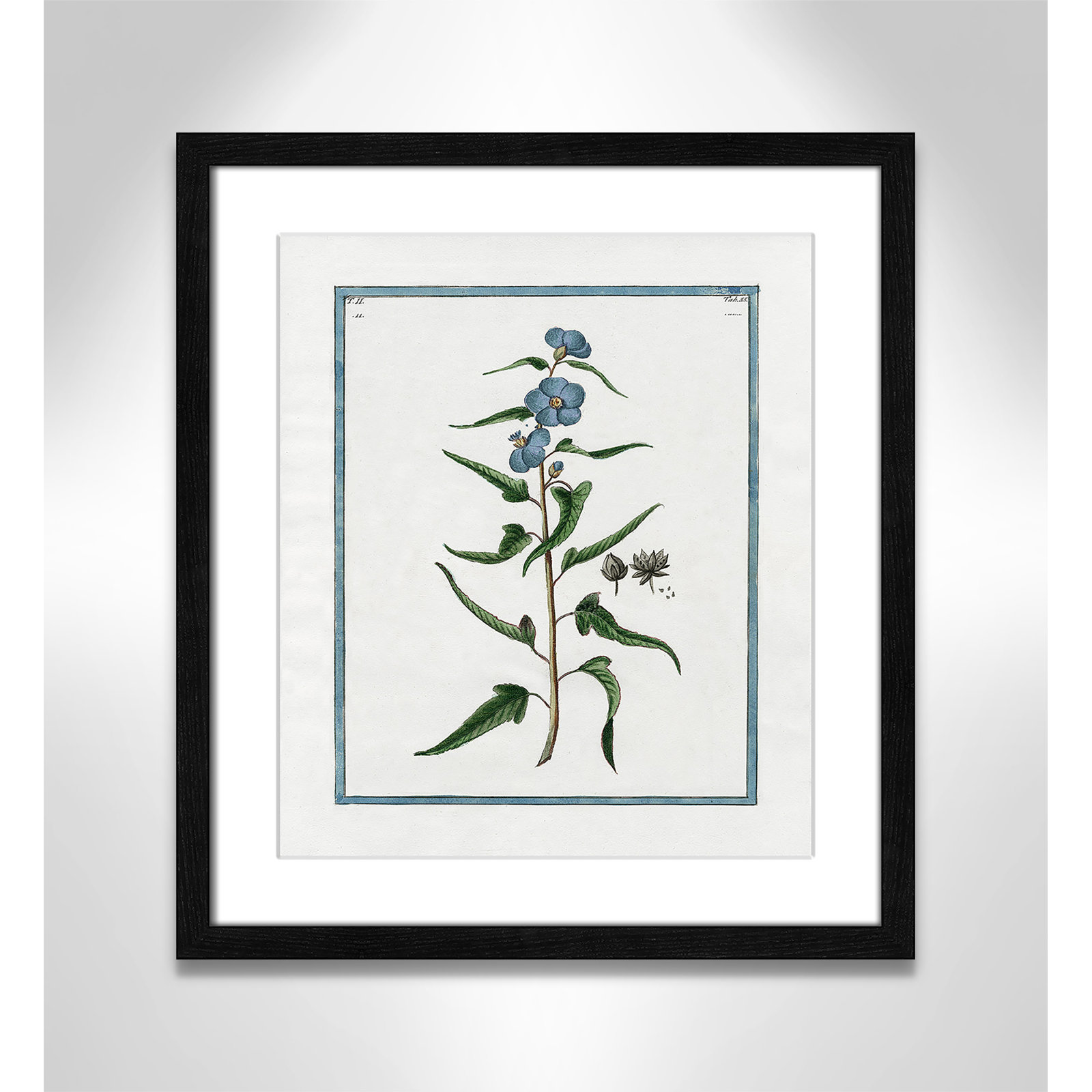 Colombe "Shabby Elegance Botanical I" Print, 13" W x 15" H, Black Framed