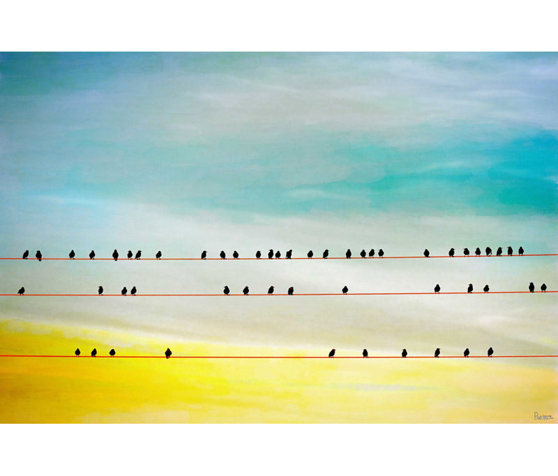 Parvez Taj - Wrapped Canvas Print, 76cm H x 114cm W x 5cm D