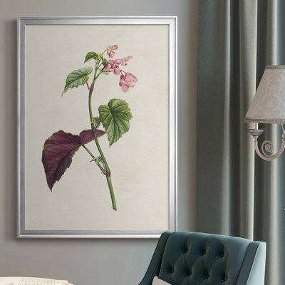 «Pretty Pink Botanicals VI», toile encadrée de qualité supérieure - prête à être accrochée