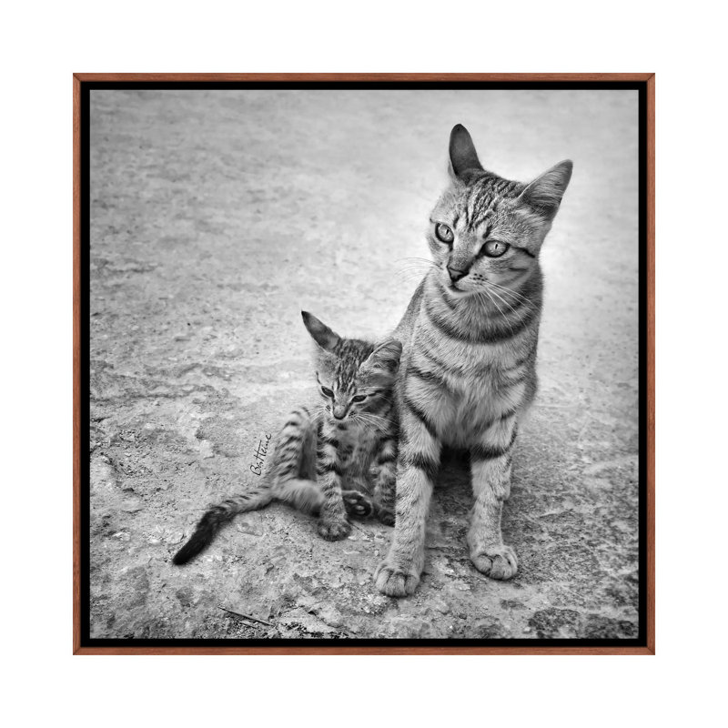 Never Leave Me Alone by Ben Heine - Print on Canvas, Classic Brown Wood Framed, 93.98 cm H x 93.98 cm W